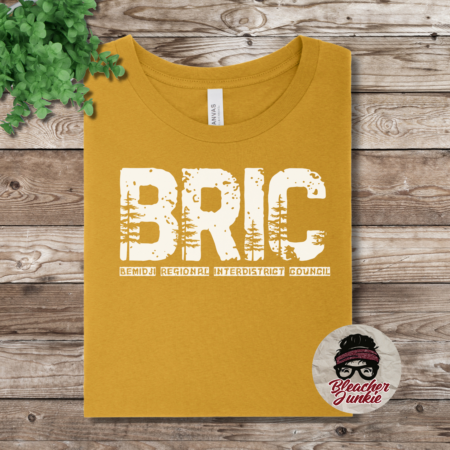 BRIC 2025-Heather Mustard