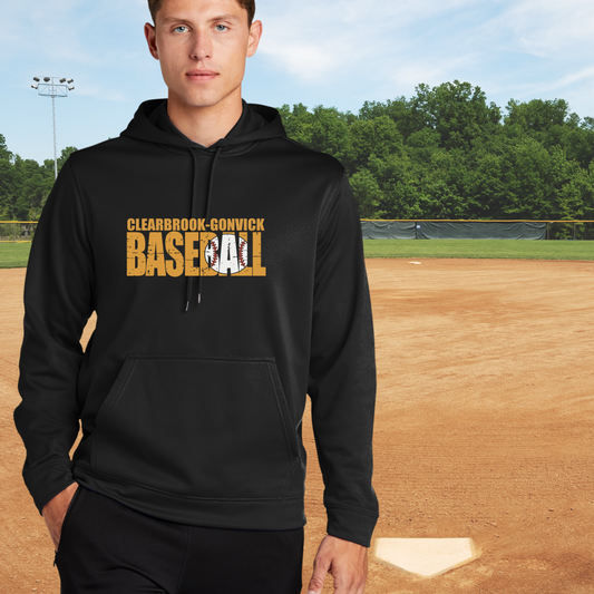 Bears Baseball Hoodie