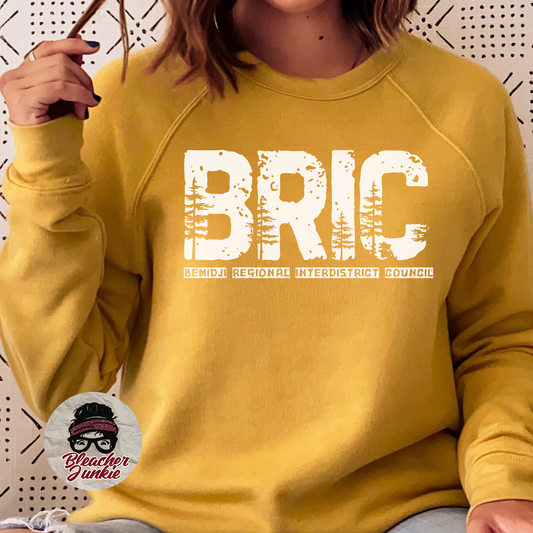 BRIC 2025-Heather Mustard